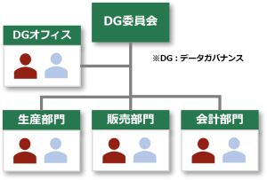 DataGovernanceOrganization
